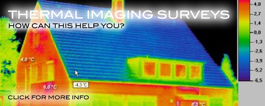 thermal_imaging_surveys