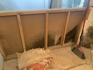 partially removed wall showing exposed wooden studs and drywall with visible black mold growing on the inner surface. A broom is leaning against the wall, and some insulation material is on the floor.