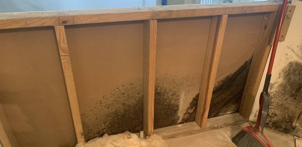 partially removed wall showing exposed wooden studs and drywall with visible black mold growing on the inner surface. A broom is leaning against the wall, and some insulation material is on the floor.