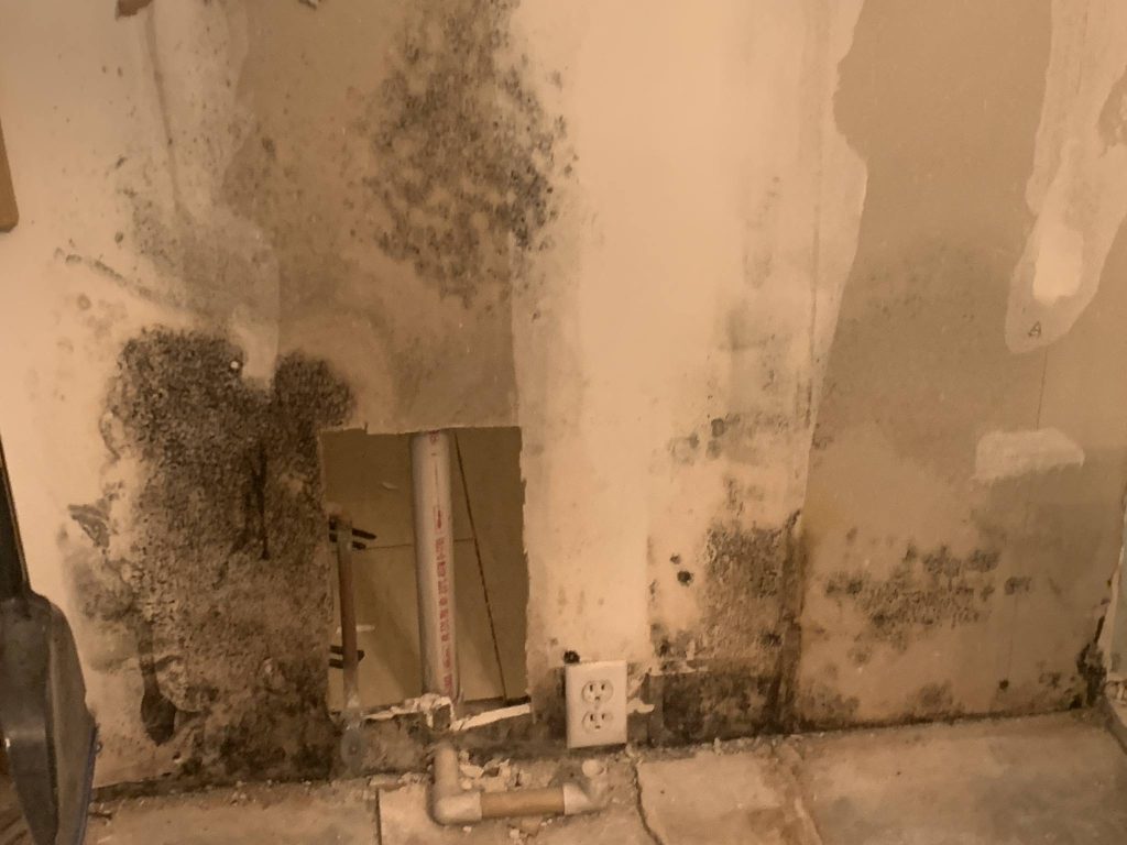 An interior wall with visible black mold near the base and a cut-out section revealing a pipe inside the wall. The bottom half of the wall appears damaged, with more mold present near the cut-out.