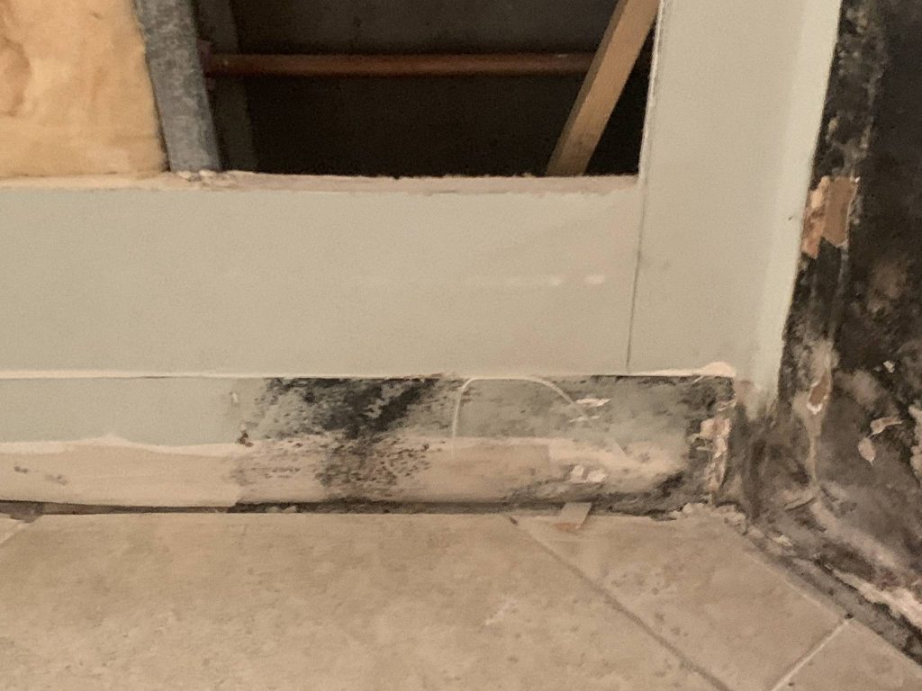 Another section of a wall with black mold growth, focused near the baseboard. The surrounding areas show evidence of drywall damage and mold spread.